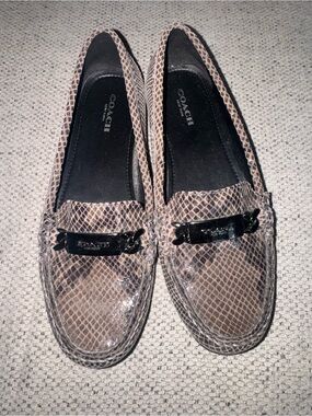Coach Women's Snake-Print Moccasins in Brown and Black